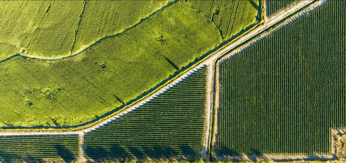 AgricultureBulgaria