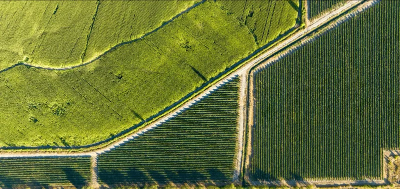 AgricultureBulgaria